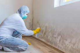 Mold Removal for HVAC Installations in Riverton, NJ