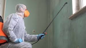 Reliable Riverton, NJ Mold Removal & Remediation Solutions