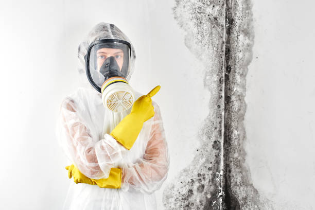  Riverton, NJ Mold Removal & Remediation Pros