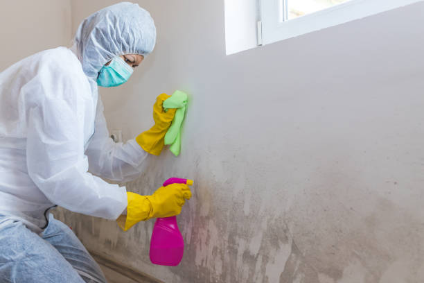 Best Industrial Mold Remediation  in Riverton, NJ