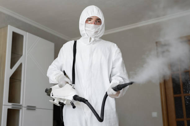 Best Emergency Mold Remediation  in Riverton, NJ