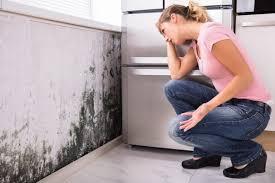 Mold Documentation for Insurance Claims in Riverton, NJ